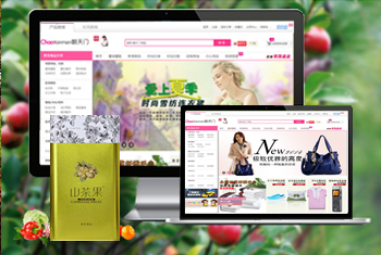 ��ƽ�������̳�